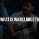 what is waxillgro279